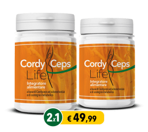 cordyceps