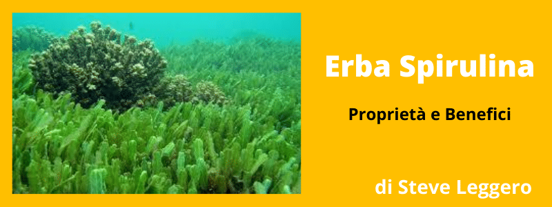 erba spirulina